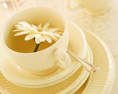 適當(dāng)飲酒可以養(yǎng)生美容
